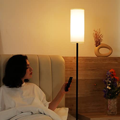 Ambimall Floor Lamps for Living Room, 64" Modern