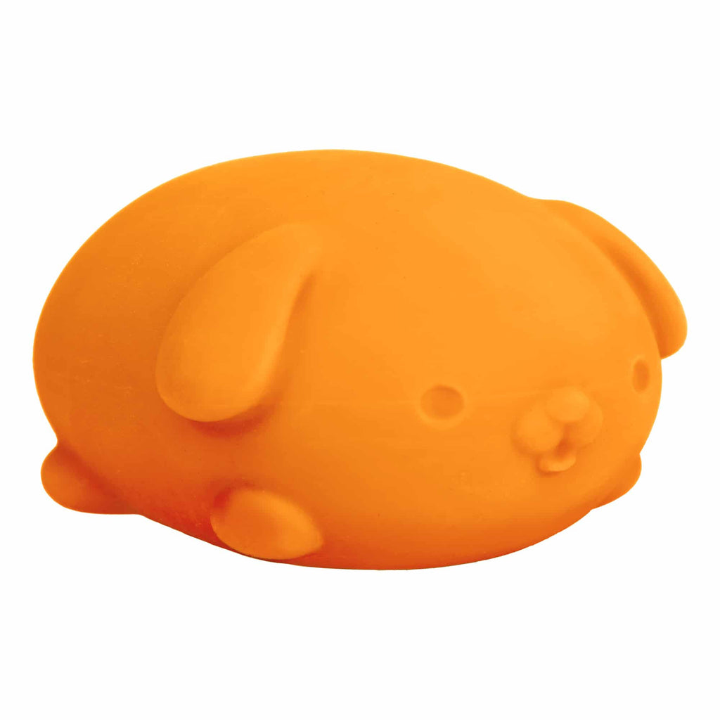 Adorable Character NeeDoh Funky Pup | Collection Canyon Shore - Purrfect Cat Squishy Character Stress Toy Detail