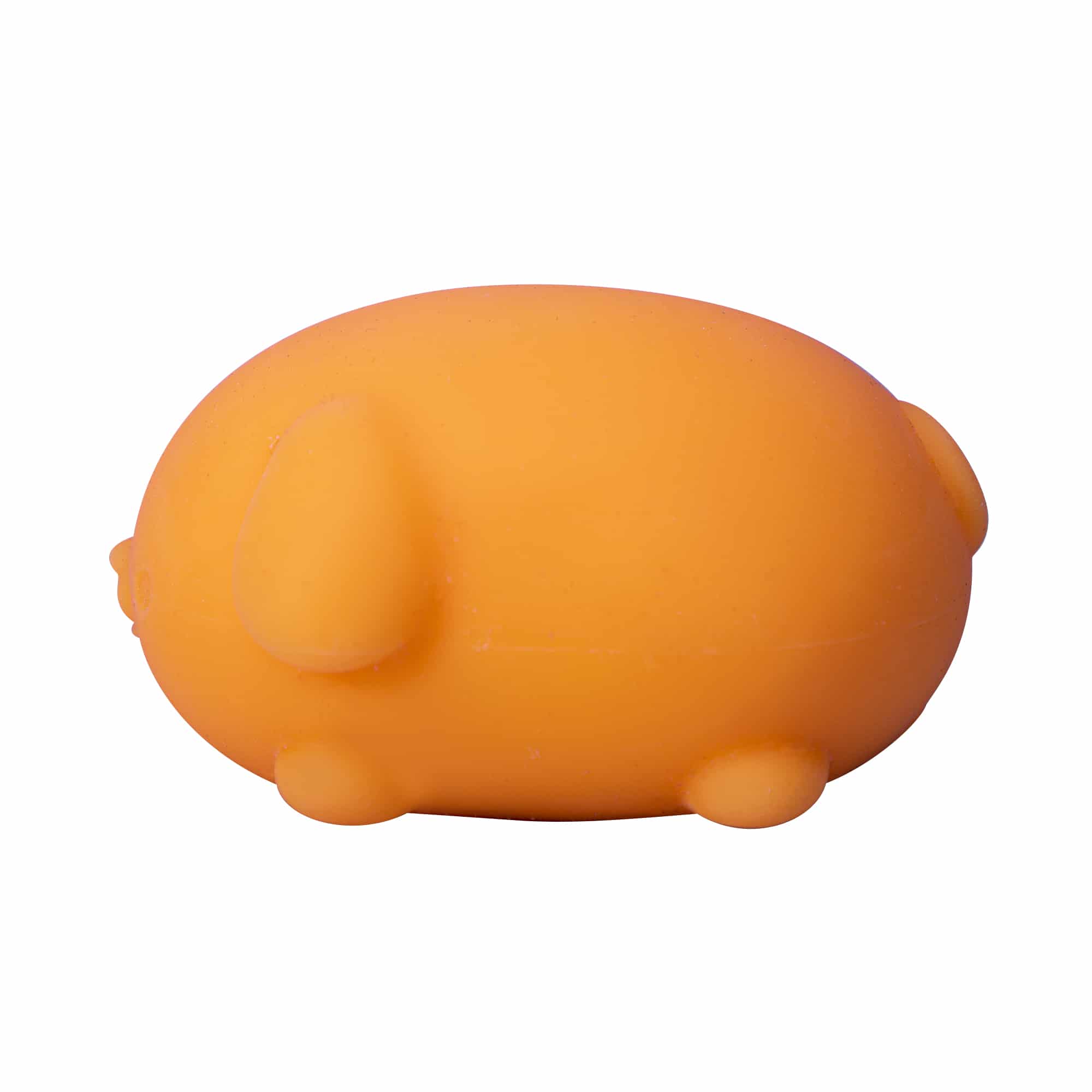 Adorable Character NeeDoh Funky Pup | Collection Canyon Shore - Purrfect Cat Squishy Character Stress Toy Detail