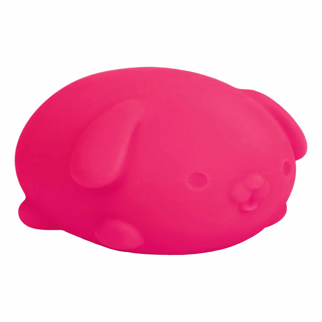Adorable Character NeeDoh Funky Pup | Collection Canyon Shore - Purrfect Cat Squishy Character Stress Toy Detail