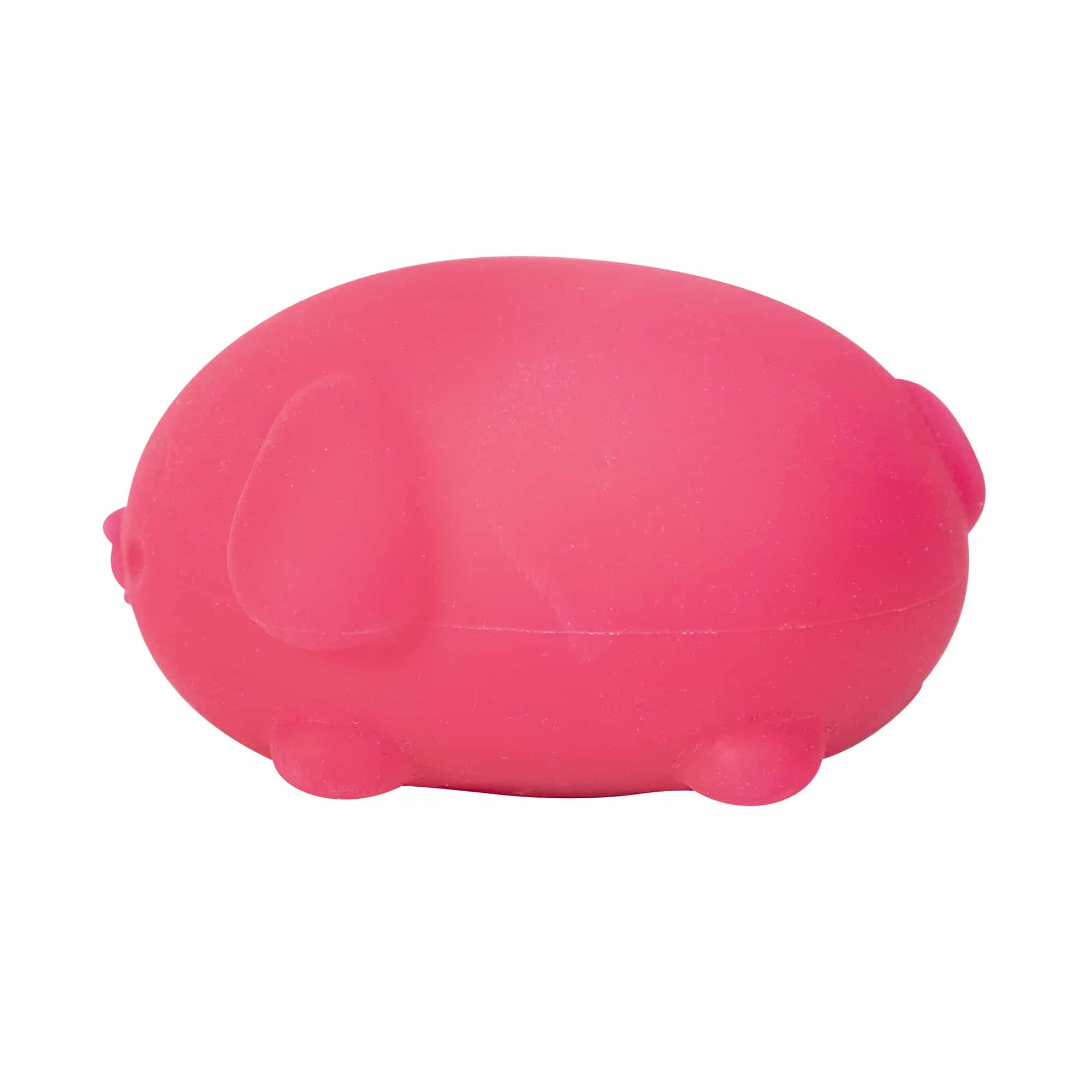 Adorable Character NeeDoh Funky Pup | Collection Canyon Shore - Purrfect Cat Squishy Character Stress Toy Detail
