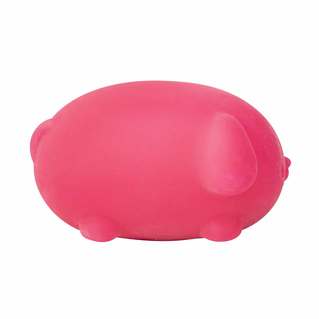 Adorable Character NeeDoh Funky Pup | Collection Canyon Shore - Purrfect Cat Squishy Character Stress Toy Detail