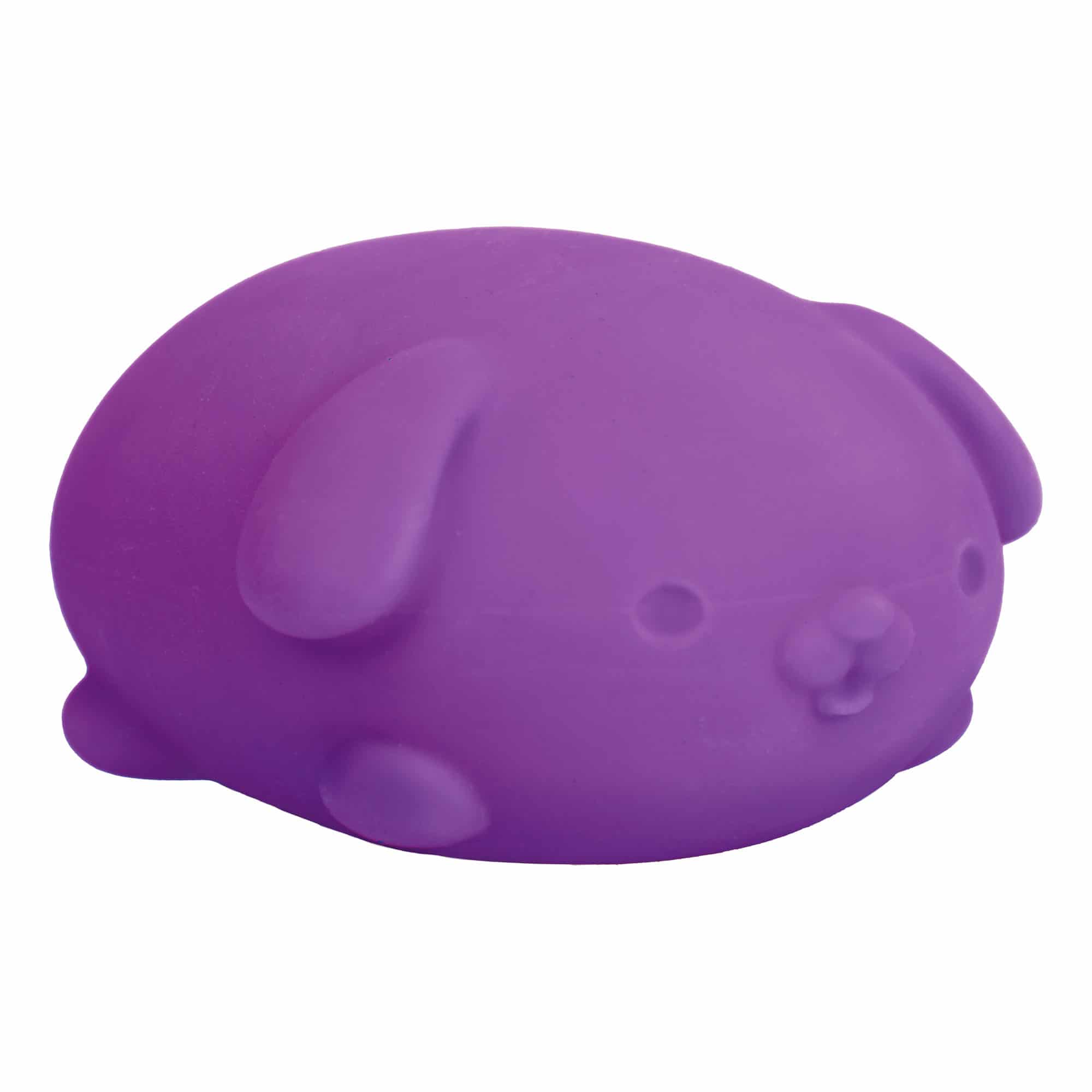 Adorable Character NeeDoh Funky Pup | Collection Canyon Shore - Purrfect Cat Squishy Character Stress Toy Detail